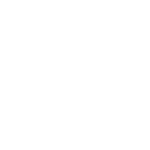 Kurs-Icon